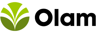 Partner 29